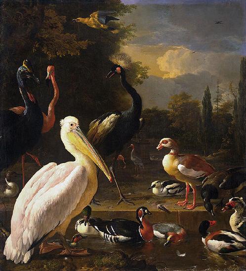 HONDECOETER, Melchior d A Pelican and Other Birds Near a Pool, oil painting picture